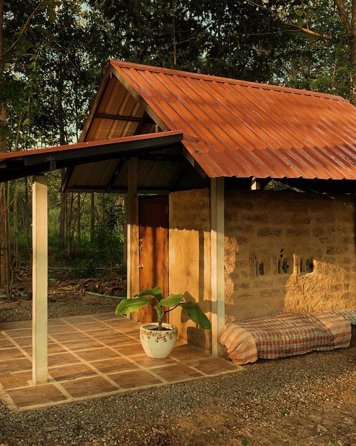 วังภูไพร ฟาร์มสเตย์ Wang Nam Khiao Ngoại thất bức ảnh