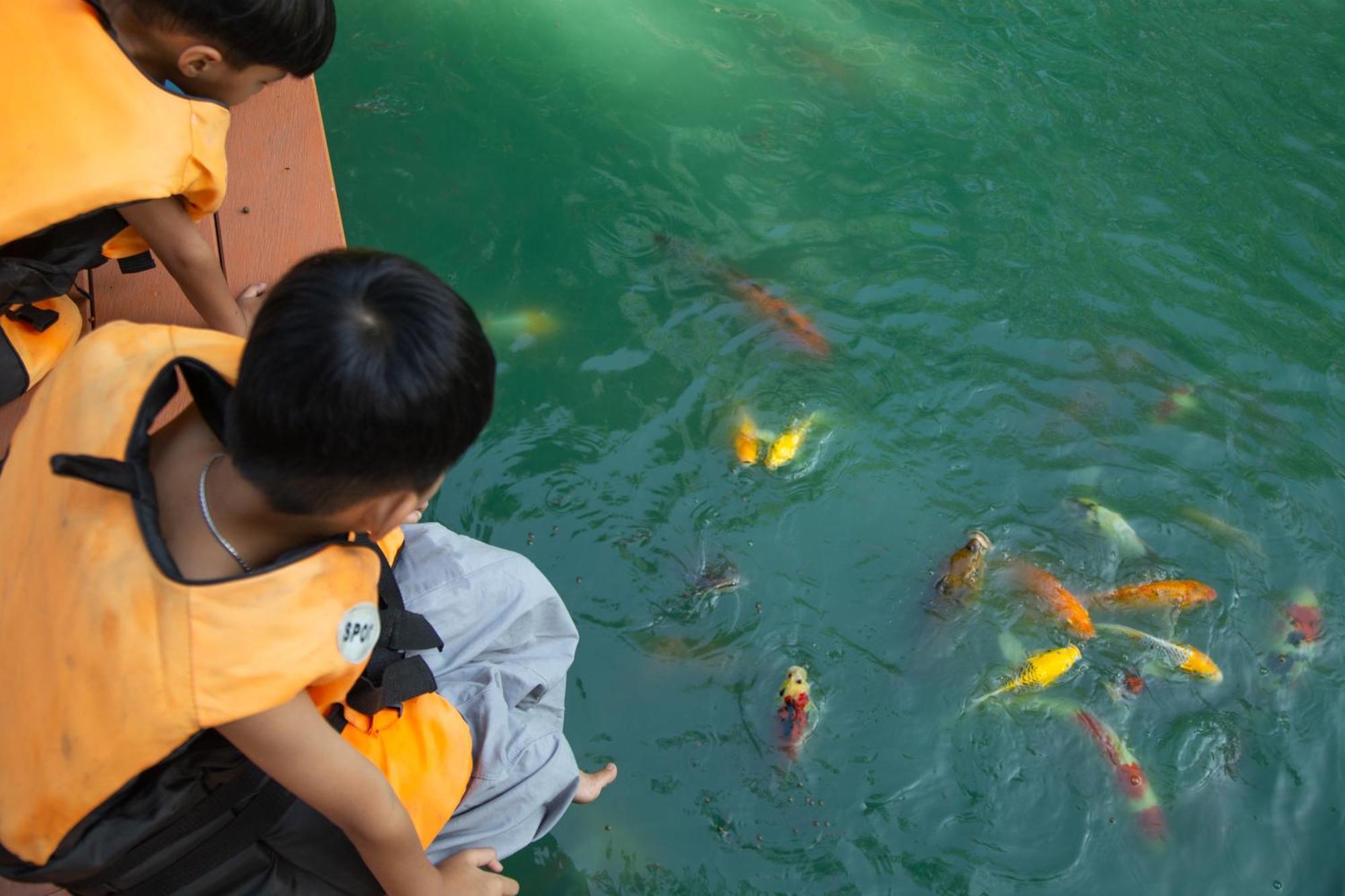 วังภูไพร ฟาร์มสเตย์ Wang Nam Khiao Ngoại thất bức ảnh