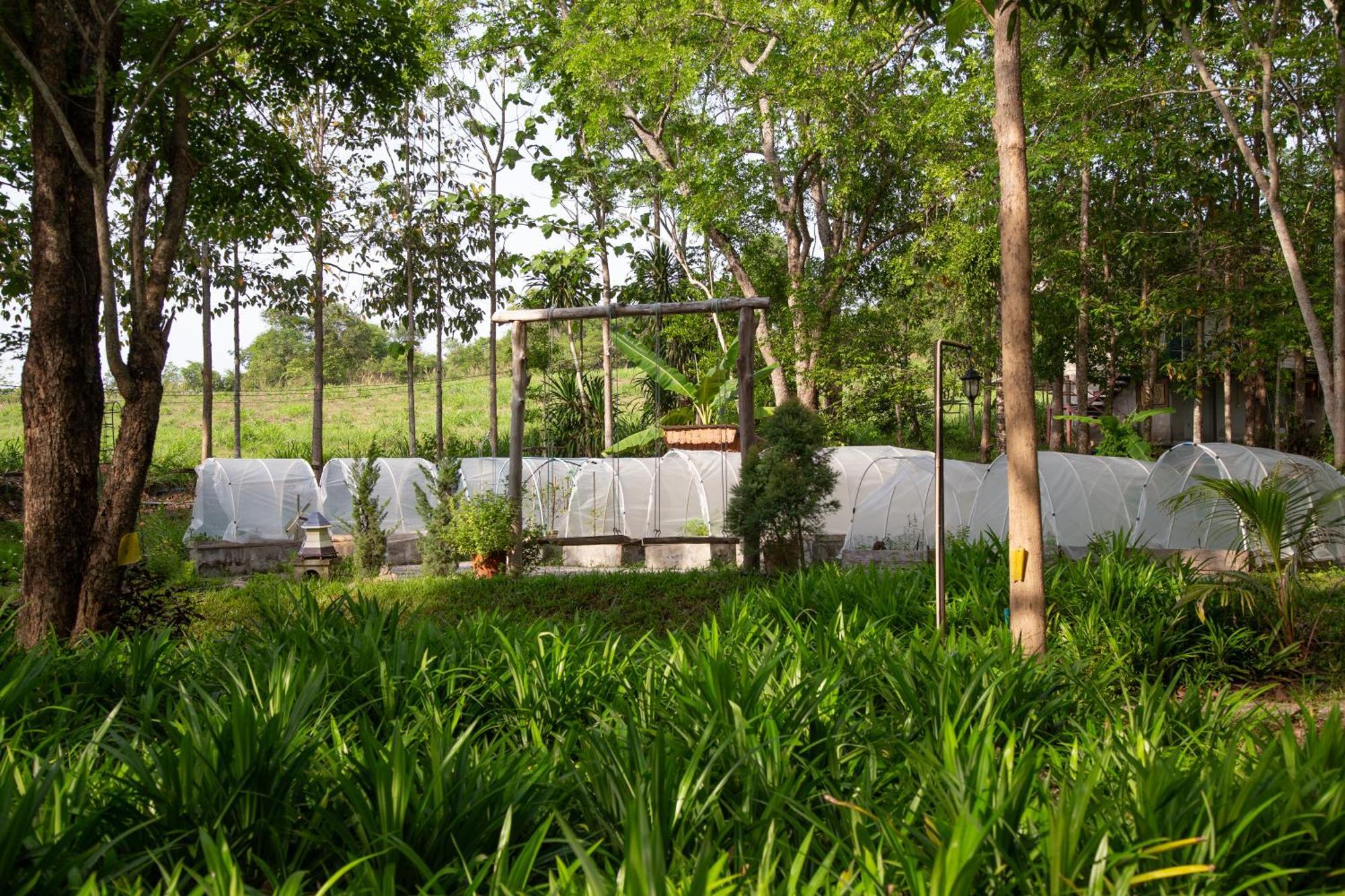 วังภูไพร ฟาร์มสเตย์ Wang Nam Khiao Ngoại thất bức ảnh